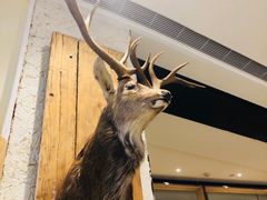 -炖物24章·顺时轻养茶(杭州保利时光里店)