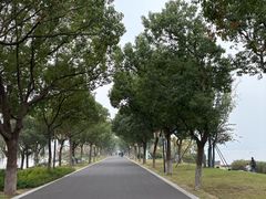 -东钱湖旅游度假区