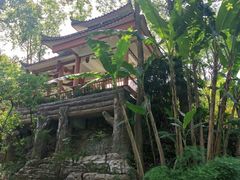 -南山植物园
