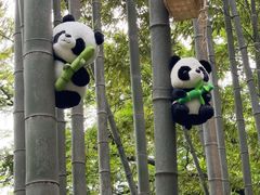 -宝岩生态观光园