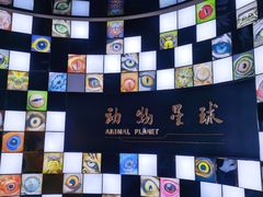 -重庆自然博物馆(新馆)