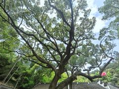 -宁波市保国寺古建筑博物馆