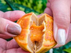 -美心西饼mx cakes(猎德优托邦店)