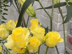 -Flower in(密渡桥店)