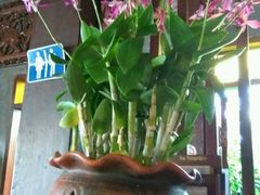 -Dash Teak House