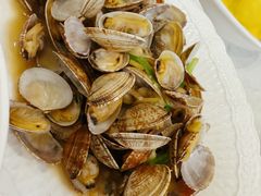 辣炒青岛小花蛤-船歌·鱼水饺青岛菜(国贸商城店)