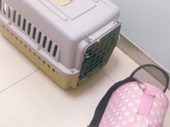 -宠福鑫康馨动物医院·骨科·眼科