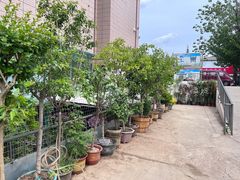 -花鸟鱼虫鲜花绿植市场(玉泉路店)