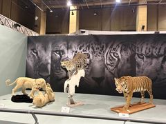 -国家自然博物馆