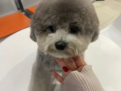 -创凡宠物医院·骨专科  猫科中心(西乡分院)