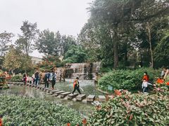 -成飞公园