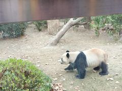 -成都动物园