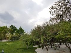 -五环公园
