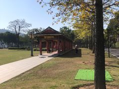-顺峰山公园