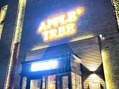 -苹果树下艺术餐厅(宋庄店)