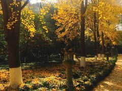 -宝光寺