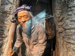 -陕西自然博物馆