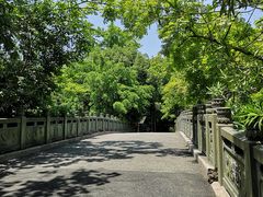 -三垟湿地