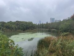 -艾溪湖湿地公园