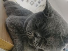 -平行世界·猫咖(首经贸店)