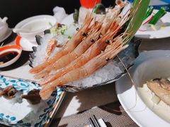 -極上萬膳·日料放题(海岸城店)