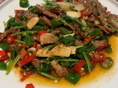 青椒牛肉丝-锦城印象火锅(天府三街店)
