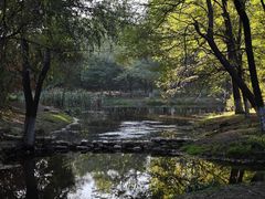 -长白岛森林公园