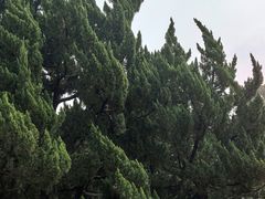 -无锡梅园公园