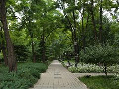 -玲珑塔公园