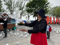 -天津妈祖文化园