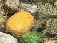 -沣峪口