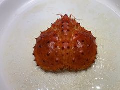 -古韵轩·江浙融合菜(梁溪店)