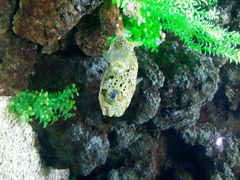 android_upload_pic-郑州海洋馆