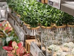 -鹿岛生活(熙地港店)