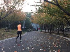 -苏州河梦清园环保主题公园