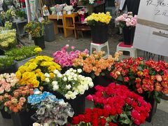 -循礼门鲜花花市(武汉循礼门店)