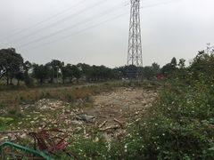 -长洲岛