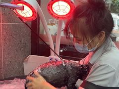 -宠物家(大兴旧宫店)