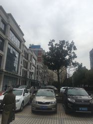 -复旦大学附属妇产科医院(杨浦院区)