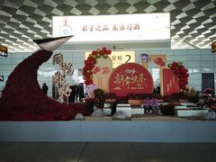 -郑州新郑国际机场-T2航站楼