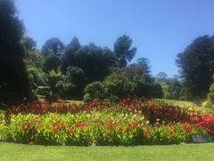 -墨尔本皇家植物园