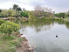 -海珠湖公园
