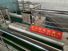 -报业大厦游泳馆