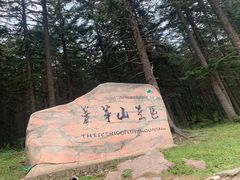 -芦芽山旅游度假区