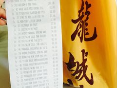 -龙城大药房