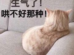 -白玉串城(南六中路店)
