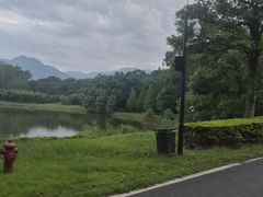 -福建鲤鱼洲酒店