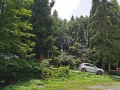 -武陵山森林公园