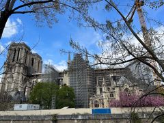 -巴黎圣母院