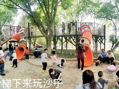 -宁波儿童公园(鄞州区)